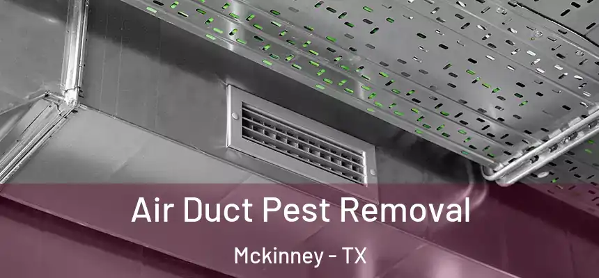 Air Duct Pest Removal Mckinney - TX
