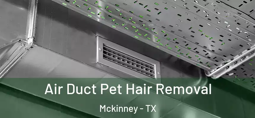 Air Duct Pet Hair Removal Mckinney - TX