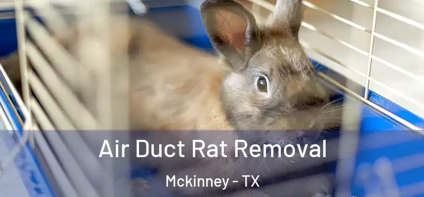  Air Duct Rat Removal Mckinney - TX