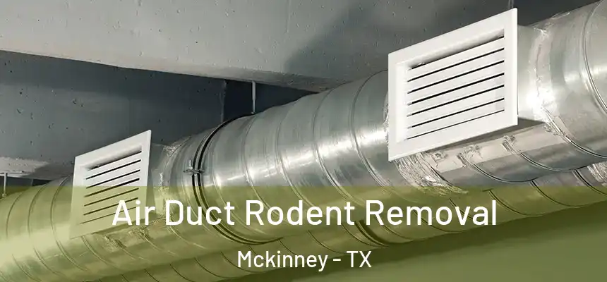 Air Duct Rodent Removal Mckinney - TX
