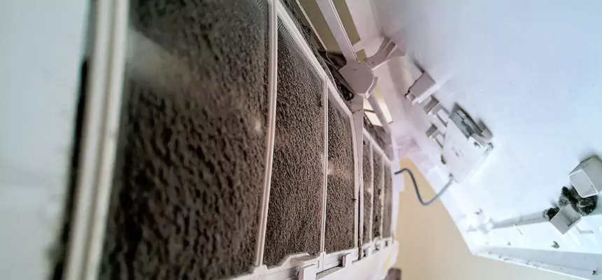 Preventive Air Duct Bacteria Removal in Mckinney