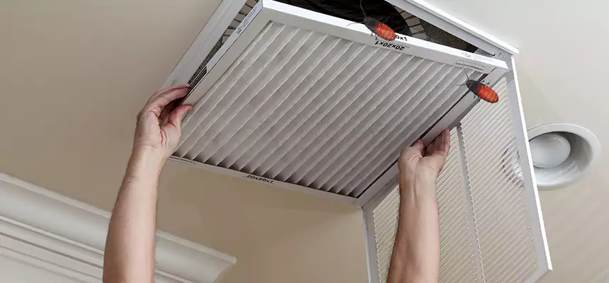 Preventive Cockroach-Proofing for Ducts in Mckinney