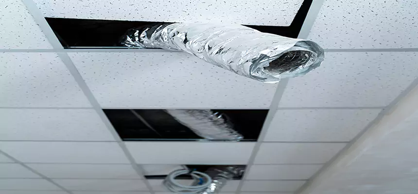 Our Air Duct Pet Hair Removal Services in Mckinney, TX