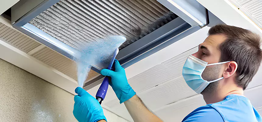 Proactive Dryer Vent & Auxiliary Duct Pollen Cleanup in Mckinney, TX
