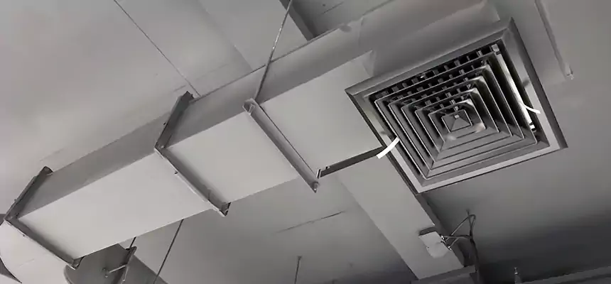 Restorative Allergy Relief Vent Cleaning – Coil, Blower & Housing Detail in Mckinney