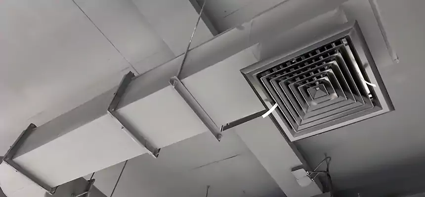 Our Pest Removal From Ducts Services in Mckinney, TX