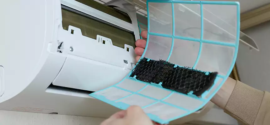 Gentle Ductwork Odor-Control Pet Dander Duct Cleaning in Mckinney, TX