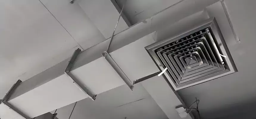 Our Rodent Droppings In Vents Services in Mckinney, TX