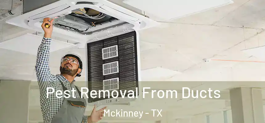 Pest Removal From Ducts Mckinney - TX