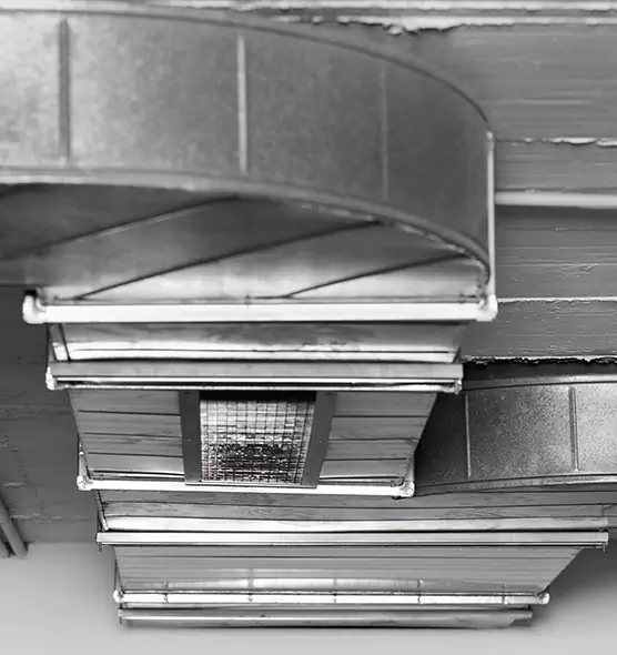 Professional Air Duct Pet Hair Removal in Mckinney, TX