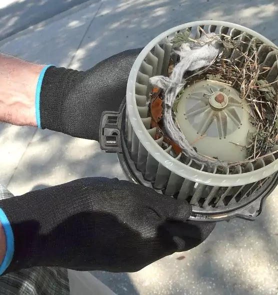 About Air Duct Rat Removal in Mckinney, TX