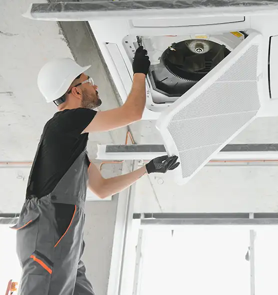 About Air Duct Rodent Removal in Mckinney, TX