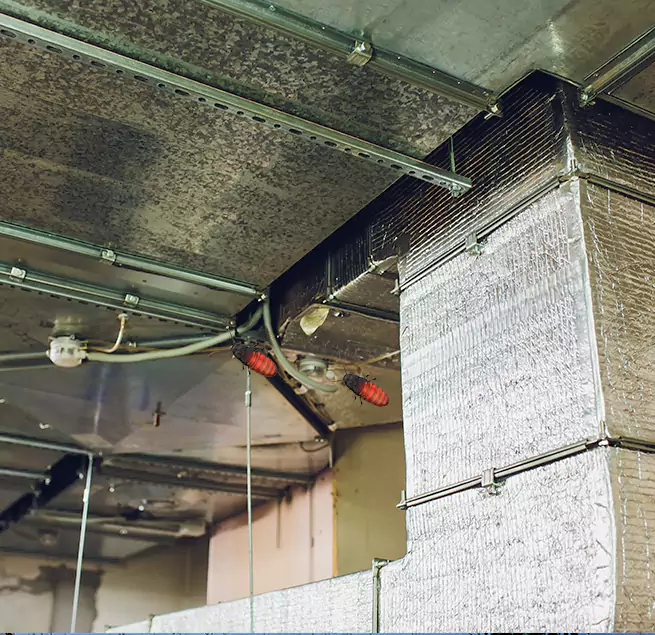 Why Homeowners & Businesses Trust Us in Mckinney, TX?