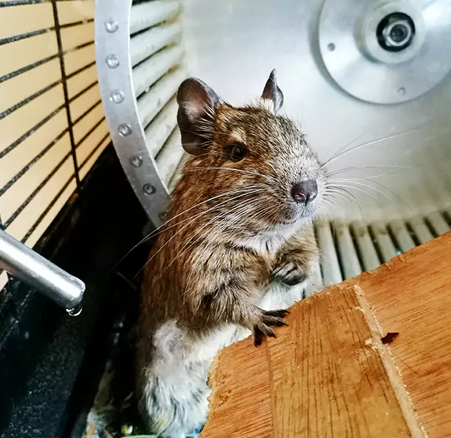 Why Homeowners & Businesses Trust Us Mckinney, TX