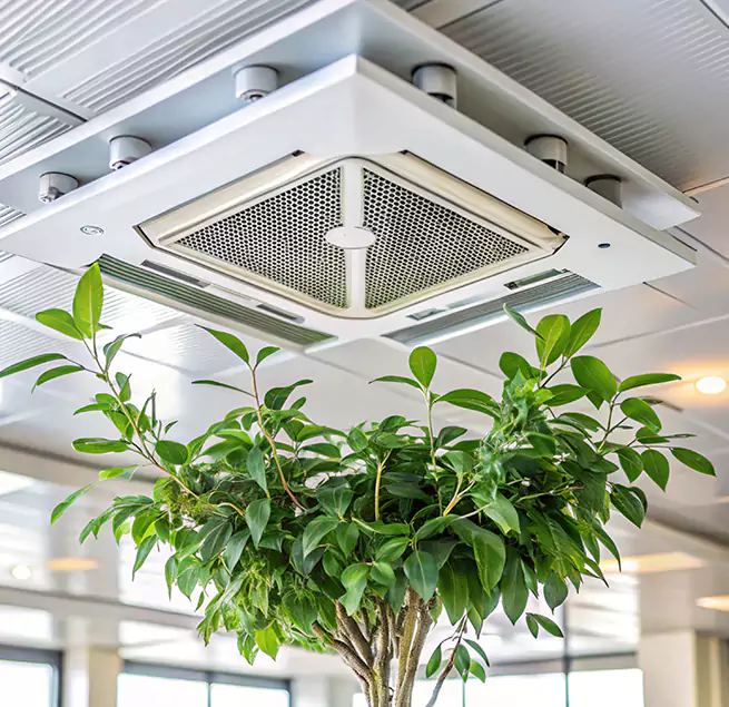 Why Homeowners & Businesses Trust Us in Mckinney, TX?